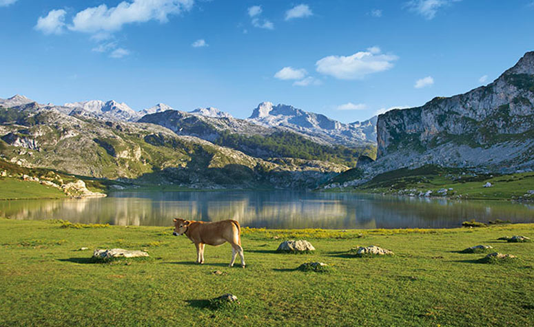 Picos de Europa